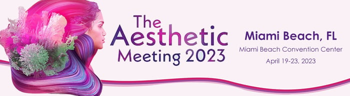 Aesthetic-Meeting-1